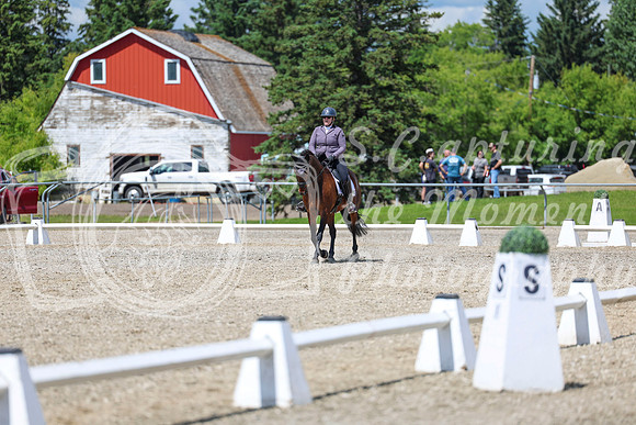 14583 - 2026 Dressage Festival - Sunday July 5th