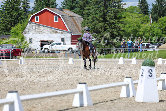 14584 - 2026 Dressage Festival - Sunday July 5th