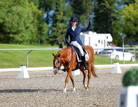 dressage festival