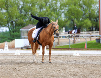 Dressage Festival