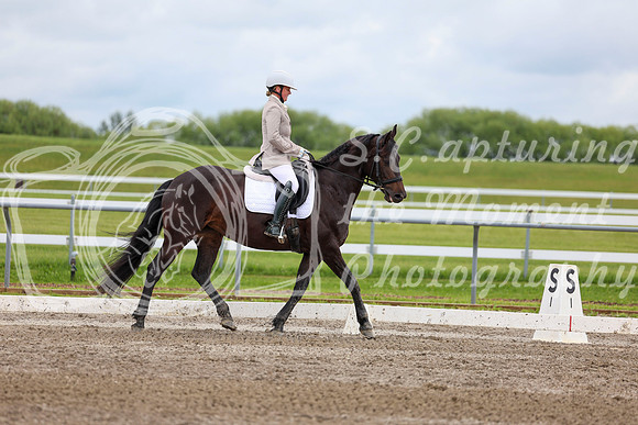 2025 - Dressage Festival - Sunday July 6th - 10570