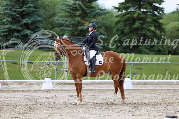 2025 - Dressage Festival - Saturday July 5th - 11187