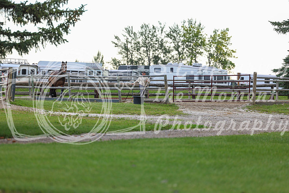00045 - Shea - 2026 Mid-Summer Classic I - Wednesday July 8th