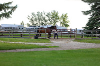 00047 - Shea - 2026 Mid-Summer Classic I - Wednesday July 8th