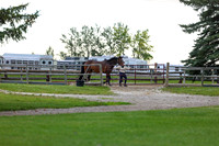00046 - Shea - 2026 Mid-Summer Classic I - Wednesday July 8th