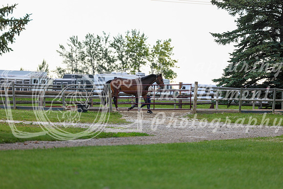 00051 - Shea - 2026 Mid-Summer Classic I - Wednesday July 8th