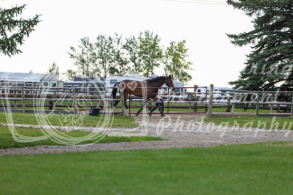 00049 - Shea - 2026 Mid-Summer Classic I - Wednesday July 8th