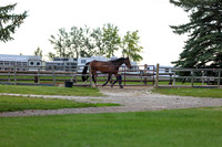00050 - Shea - 2026 Mid-Summer Classic I - Wednesday July 8th