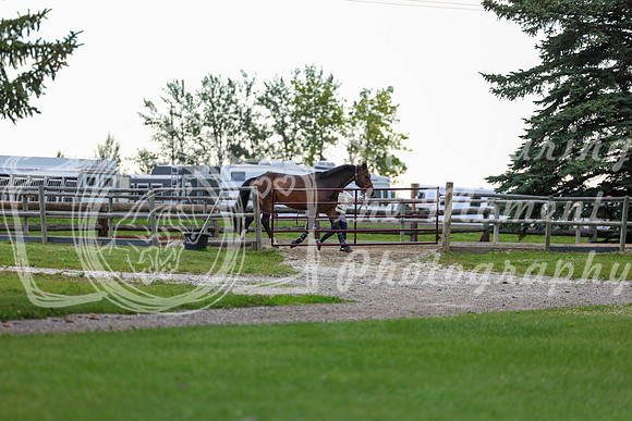 00050 - Shea - 2026 Mid-Summer Classic I - Wednesday July 8th