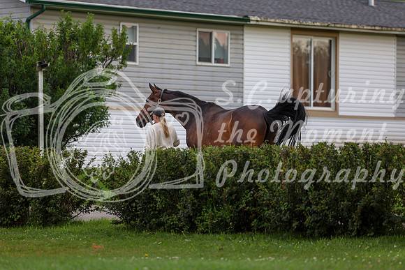 00219 - Shea - 2026 Mid-Summer Classic I - Wednesday July 8th