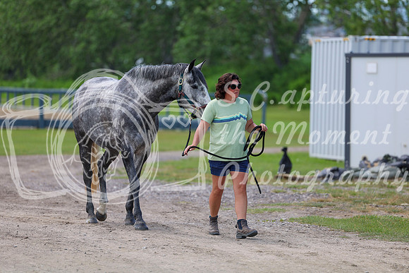 03543 - Shea - 2026 Mid-Summer Classic I - Wednesday July 8th