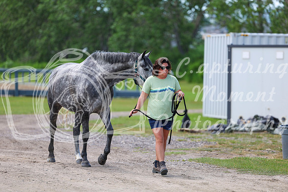 03544 - Shea - 2026 Mid-Summer Classic I - Wednesday July 8th
