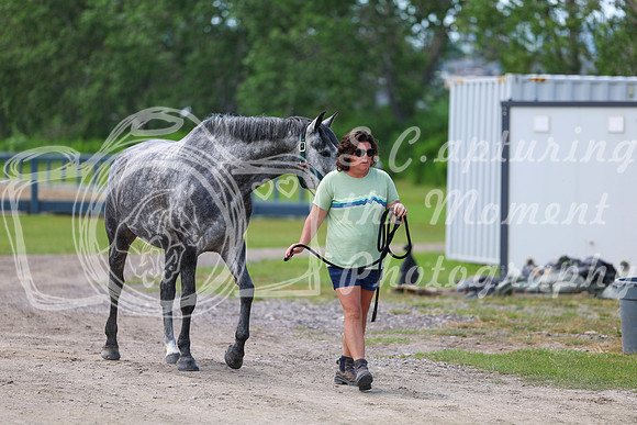 03545 - Shea - 2026 Mid-Summer Classic I - Wednesday July 8th