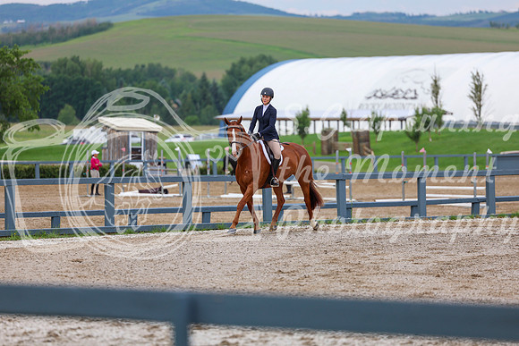 00183 - Shea - 2026 Mid-Summer Classic I - Wednesday July 8th