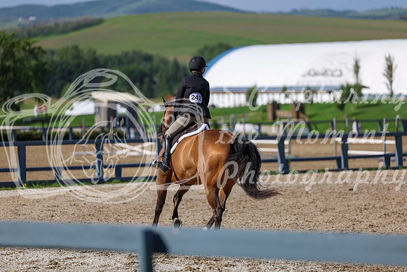 01183 - Shea - 2026 Mid-Summer Classic I - Wednesday July 8th