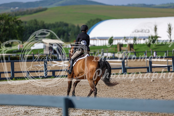 01184 - Shea - 2026 Mid-Summer Classic I - Wednesday July 8th
