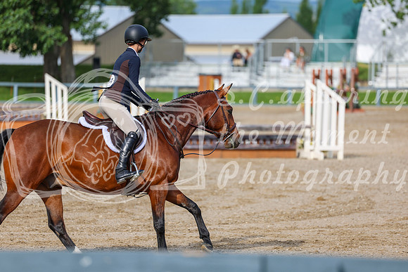 00565 - Shea - 2026 Mid-Summer Classic I - Wednesday July 8th