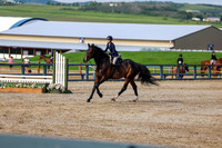00786 - Shea - 2026 Mid-Summer Classic I - Wednesday July 8th