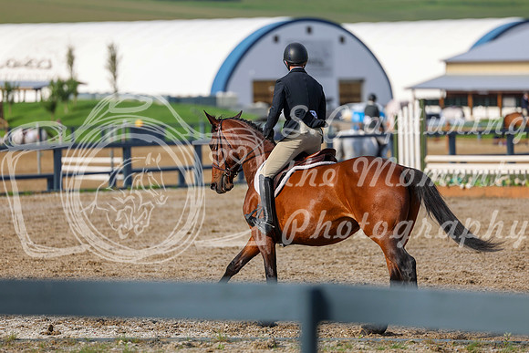 00767 - Shea - 2026 Mid-Summer Classic I - Wednesday July 8th