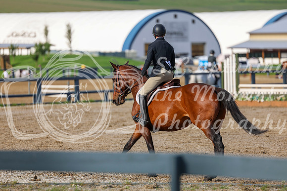 00768 - Shea - 2026 Mid-Summer Classic I - Wednesday July 8th