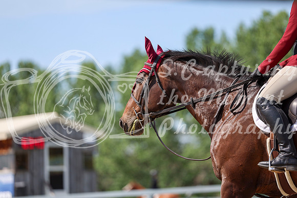 02591 - Shea - 2026 Mid-Summer Classic I - Wednesday July 8th