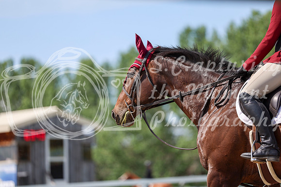 02592 - Shea - 2026 Mid-Summer Classic I - Wednesday July 8th