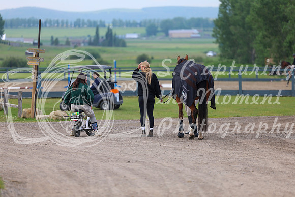00003 - Shea - 2026 Mid-Summer Classic I - Thursday July 9th