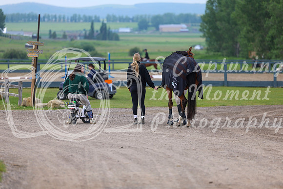 00008 - Shea - 2026 Mid-Summer Classic I - Thursday July 9th