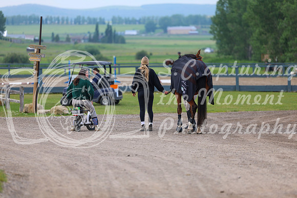 00007 - Shea - 2026 Mid-Summer Classic I - Thursday July 9th