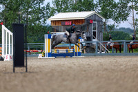 01306 - Shea - 2026 Mid-Summer Classic I - Thursday July 9th