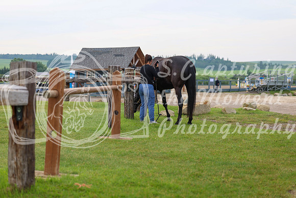 00011 - Shea - 2026 Mid-Summer Classic I - Thursday July 9th