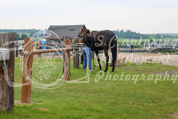 00014 - Shea - 2026 Mid-Summer Classic I - Thursday July 9th