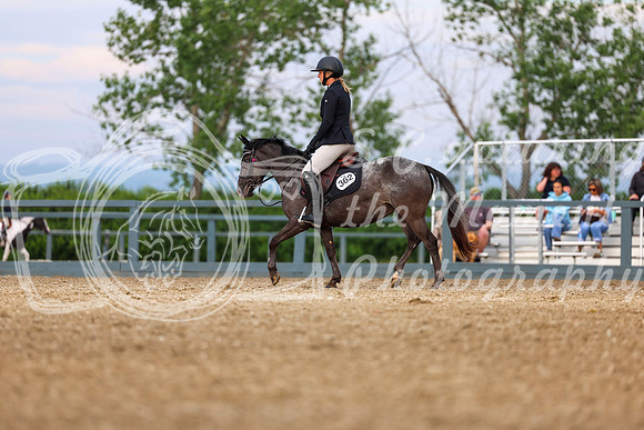 00331 - Shea - 2026 Mid-Summer Classic I - Thursday July 9th