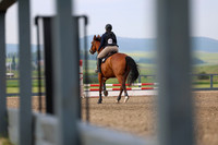 00018 - Shea - 2026 Mid-Summer Classic I - Thursday July 9th