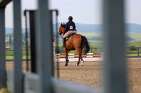 00019 - Shea - 2026 Mid-Summer Classic I - Thursday July 9th