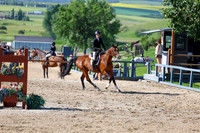 00651 - Shea - 2026 Mid-Summer Classic I - Friday July 10th
