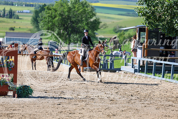 00653 - Shea - 2026 Mid-Summer Classic I - Friday July 10th