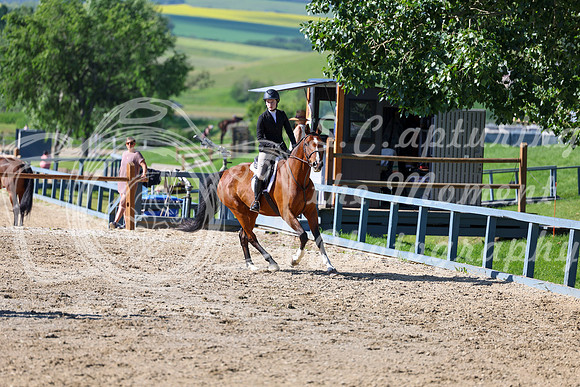 00656 - Shea - 2026 Mid-Summer Classic I - Friday July 10th