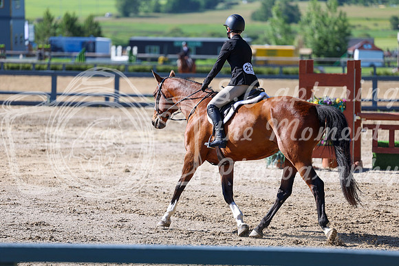 00688 - Shea - 2026 Mid-Summer Classic I - Friday July 10th