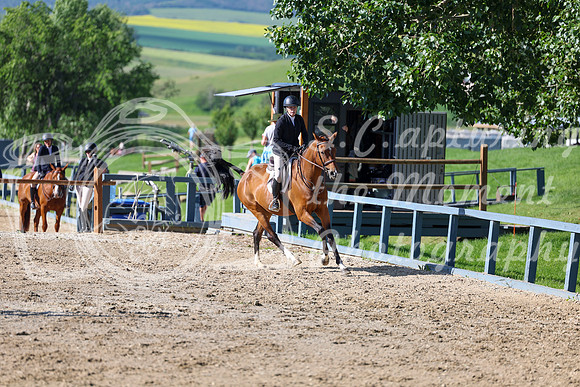 00518 - Shea - 2026 Mid-Summer Classic I - Friday July 10th