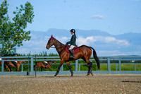 00815 - Alina - 2026 Mid-Summer Classic I - Friday July 10th