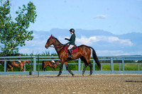 00816 - Alina - 2026 Mid-Summer Classic I - Friday July 10th