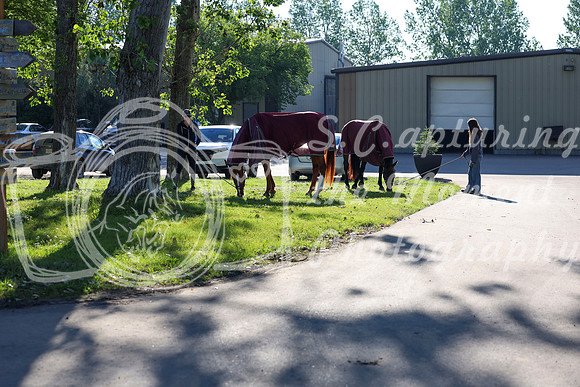 00001 - Shea - 2026 Mid-Summer Classic I - Friday July 10th
