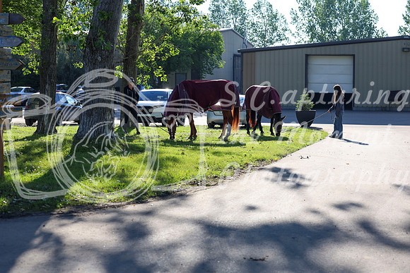 00005 - Shea - 2026 Mid-Summer Classic I - Friday July 10th