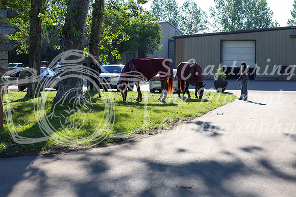00004 - Shea - 2026 Mid-Summer Classic I - Friday July 10th