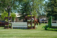 12741 - Alina - 2026 Mid-Summer Classic I - Friday July 10th