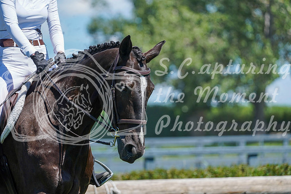 12533 - Alina - 2026 Mid-Summer Classic I - Friday July 10th