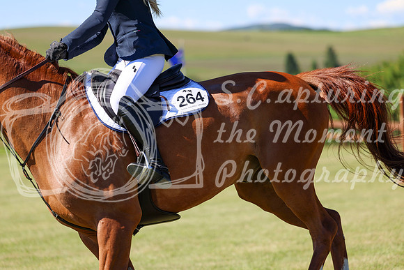 03532 - Shea - 2026 Mid-Summer Classic I - Friday July 10th