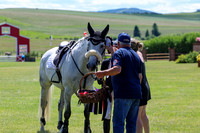 09837 - Shea - 2026 Mid-Summer Classic I - Friday July 10th