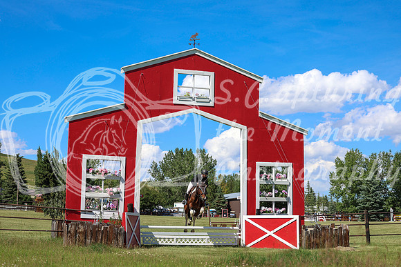 11743 - Shea - 2026 Mid-Summer Classic I - Friday July 10th